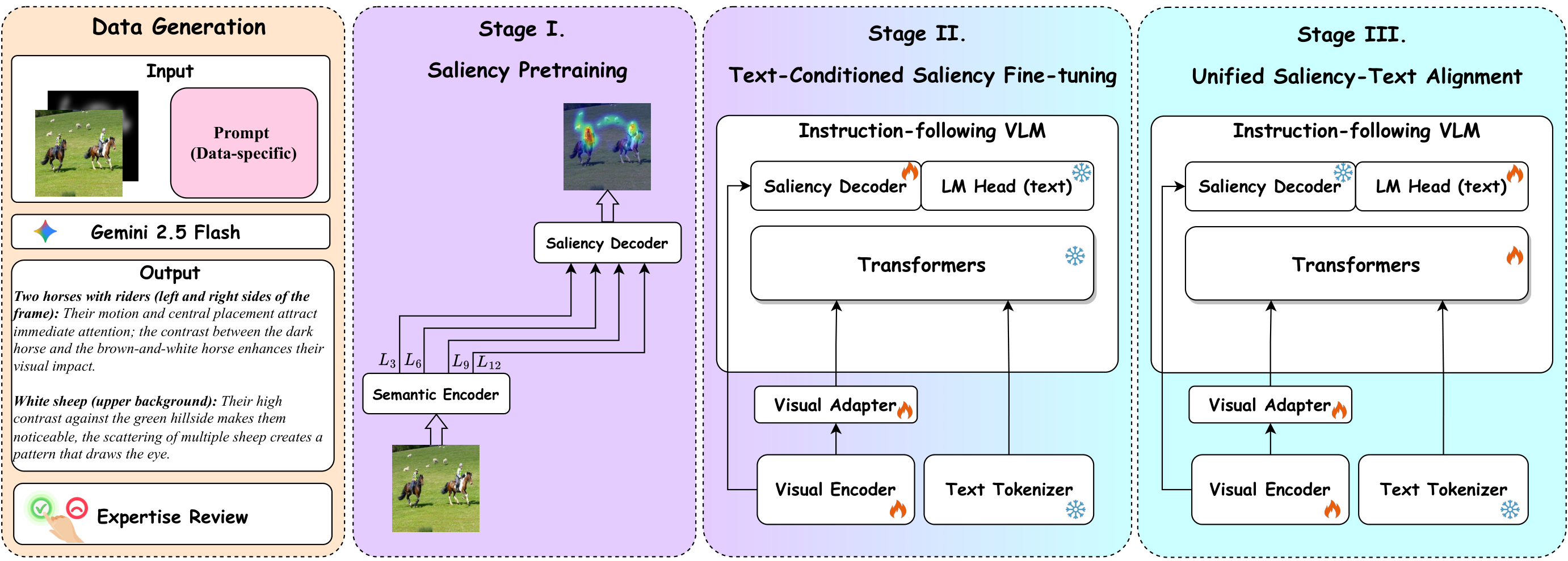 OpenVAM training stages